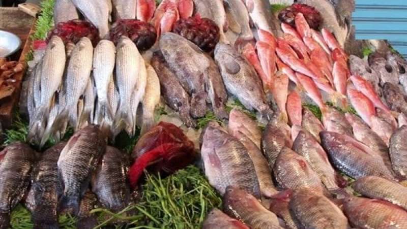 أسعار السمك والجمبري