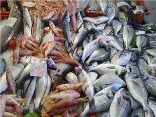 تعرف على أسعار الأسماك اليوم الأربعاء 12 يونيو بسوق العبور