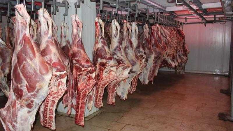 عاجل.. تخفيض أسعار اللحوم الحمراء ببني سويف قبل عيد الأضحى