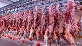 مفاجأة في أسعار اللحوم اليوم في مصر