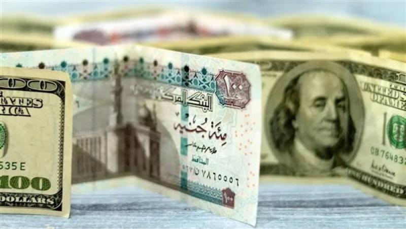 سعر الدولار